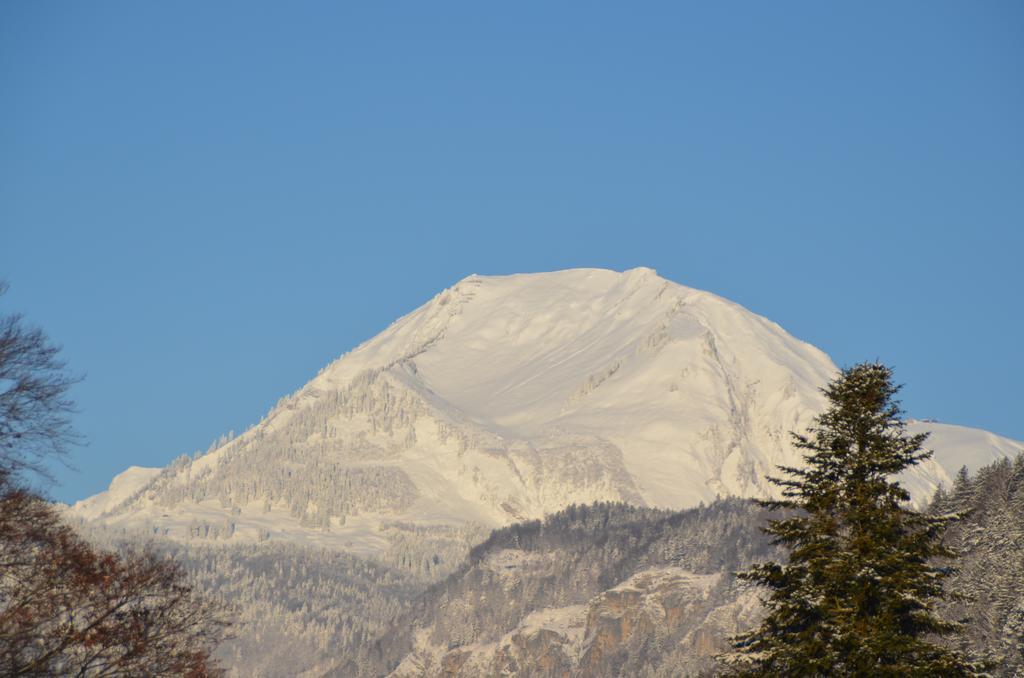 Mountain-Panorama Apartment Meiringen Exterior foto