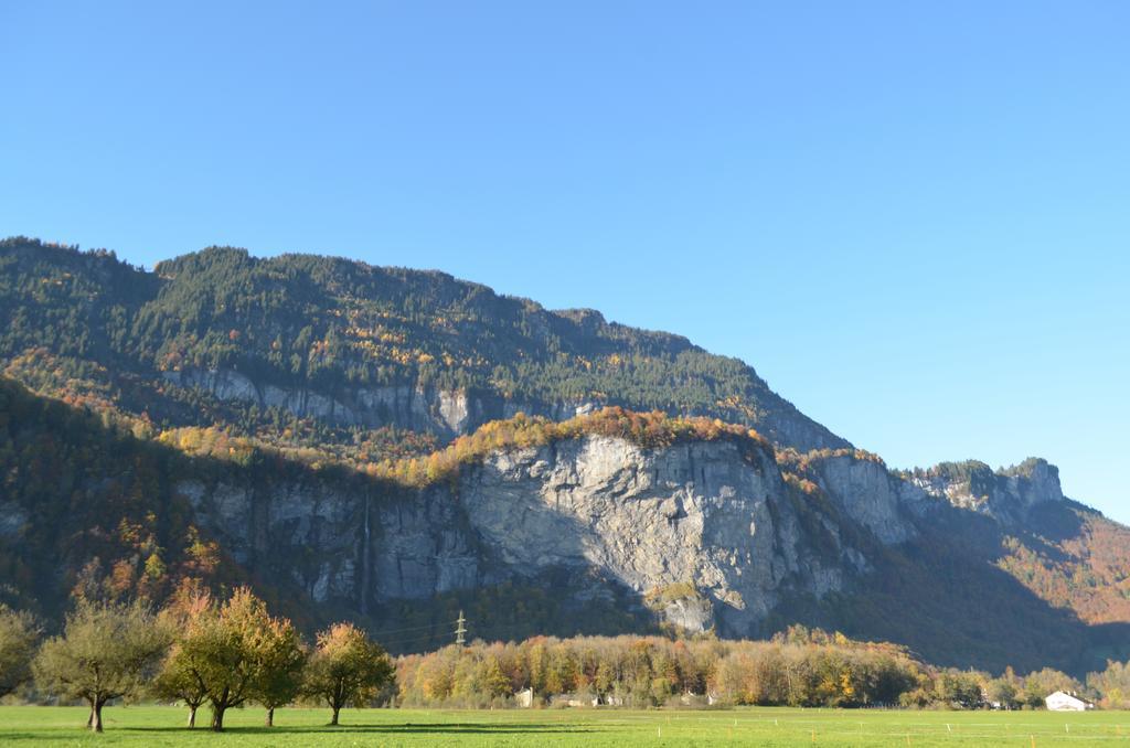 Mountain-Panorama Apartment Meiringen Exterior foto